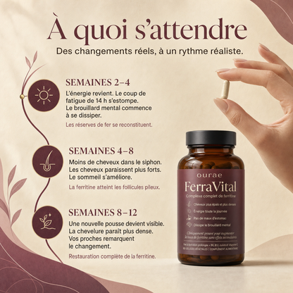 Complexe Ferritine Éclat