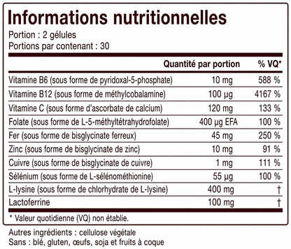 Complexe Ferritine Éclat