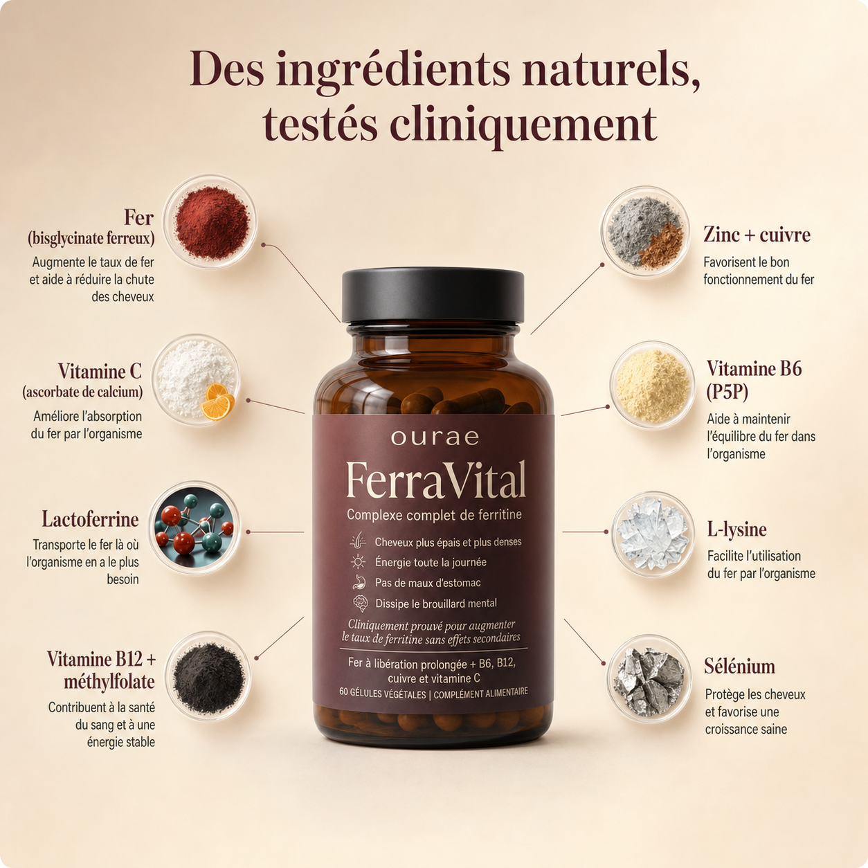 Complexe Ferritine Éclat